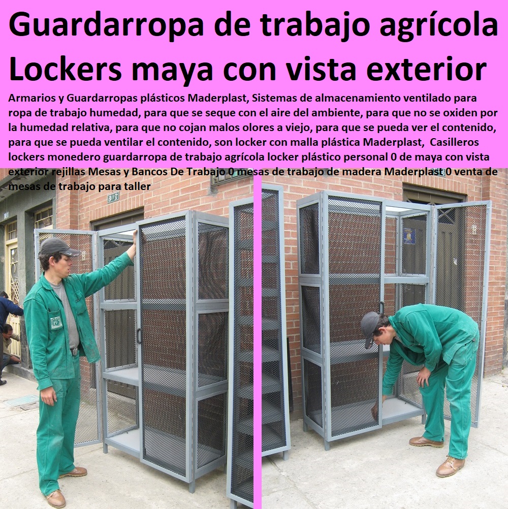 Casilleros lockers monedero guardarropa de trabajo agrícola locker plástico personal 0 de maya con vista exterior rejillas Mesas y Bancos De Trabajo 0 mesas de trabajo de madera Maderplast 0 venta de mesas de trabajo para taller Casilleros lockers monedero guardarropa de trabajo agrícola locker plástico personal 0 de maya con vista exterior rejillas Mesas y Bancos De Trabajo 0 mesas de trabajo de madera Maderplast 0 venta de mesas de trabajo para taller TUTORES PARA FLORES, CABLE VÍA BANANAS AROMÁTICAS, Cultivos Tecnificados, Invernaderos, Semilleros, Bancos De Siembra, Hidroponía, Agricultura, Cosecha, Poscosecha, 